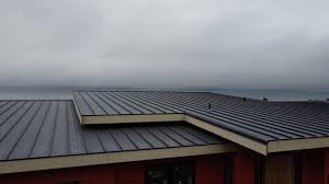 Best Rubber Roofing (EPDM, TPO)  in Trevorton, PA